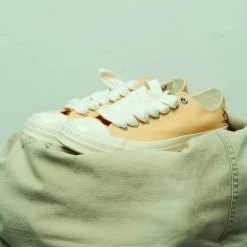 Converse x Golf le Fleur Darryl Chuck Taylor All Star '70 OX