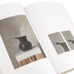 Frama Perception Form Book