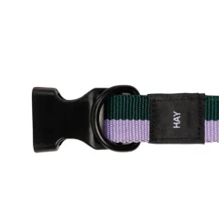 HAY Dogs Collar Flat M/L