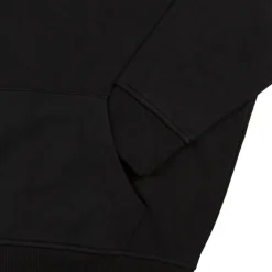 Polo Ralph Lauren Relaxed Fit Polo Sport Fleece Hoodie