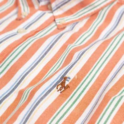 Polo Ralph LaurenCustom Fit Striped Oxford Shirt