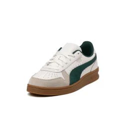 Puma Indoor