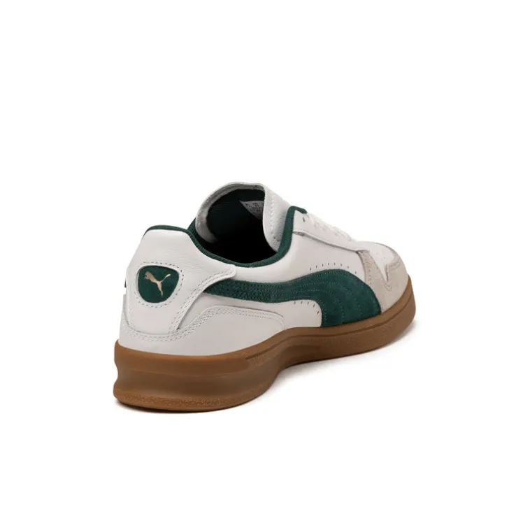Puma Indoor