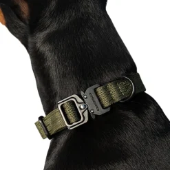 Trekk Dog Collar