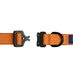 Trekk Dog Collar