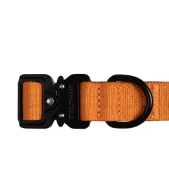 Trekk Dog Collar