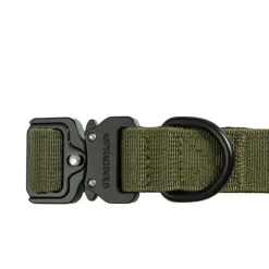 Trekk Dog Collar