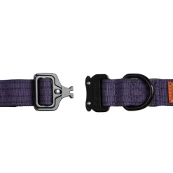 Trekk Dog Collar