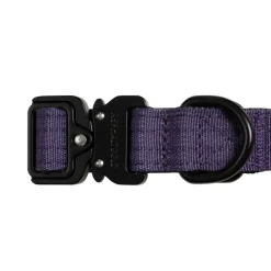 Trekk Dog Collar