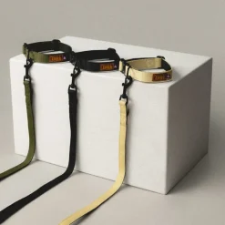 Trekk Dog Collar
