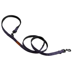 Trekk Dog Leash